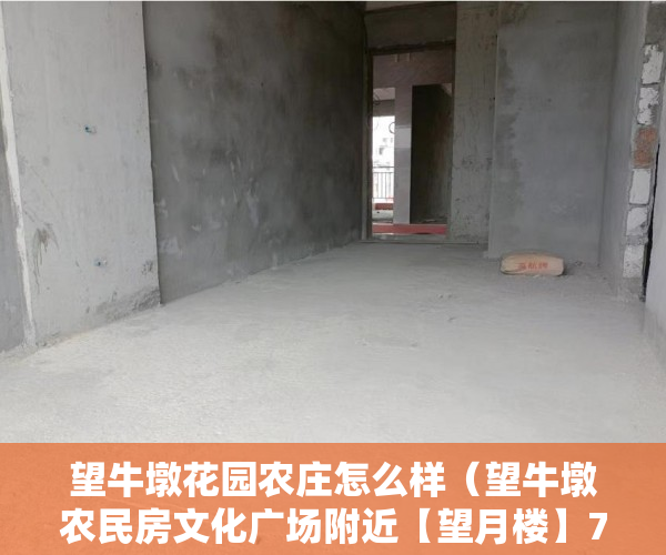望牛墩花园农庄怎么样（望牛墩农民房文化广场附近【望月楼】7月7日火爆看房 ）小产权房打官司需要多久，