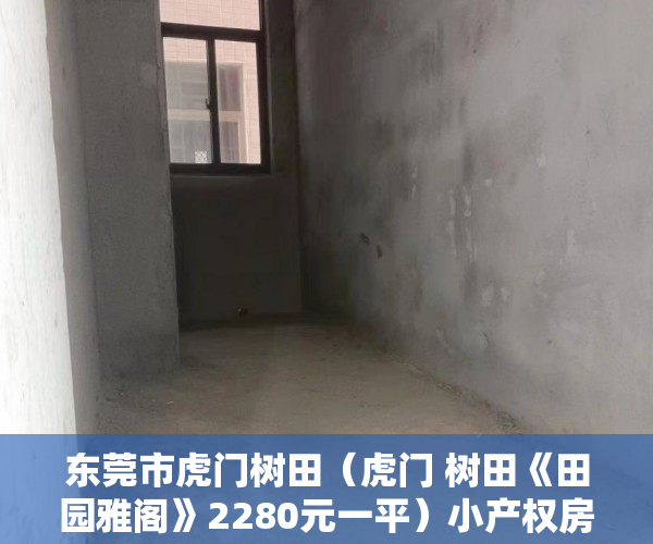 东莞市虎门树田（虎门 树田《田园雅阁》2280元一平）小产权房户型怎么样，