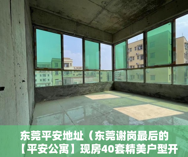 东莞平安地址（东莞谢岗最后的【平安公寓】现房40套精美户型开卖 ）买的小产权房多久能卖，
