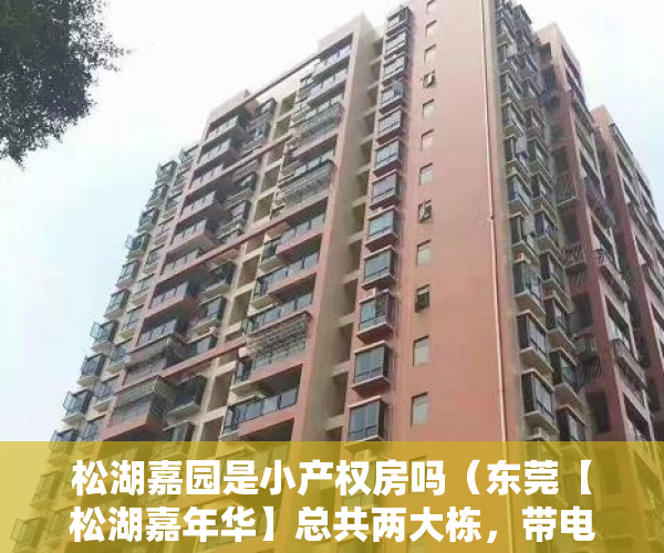 松湖嘉园是小产权房吗（东莞【松湖嘉年华】总共两大栋，带电梯全新房 ）二手小产权房产权多久，