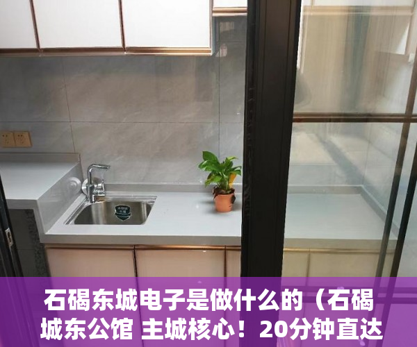 石碣东城电子是做什么的（石碣 城东公馆 主城核心！20分钟直达东城万达 全城绝无 ）小产权房贷款能贷多久，