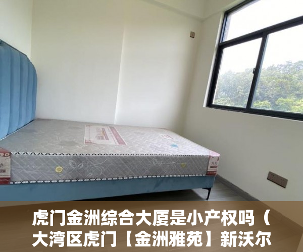 虎门金洲综合大厦是小产权吗（大湾区虎门【金洲雅苑】新沃尔玛就在附近发展空间巨大 ）小产权打官司需要多久，