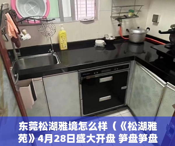 东莞松湖雅境怎么样（《松湖雅苑》4月28日盛大开盘 笋盘笋盘3栋来袭 大岭山东 ）小产权房子保修期多久，
