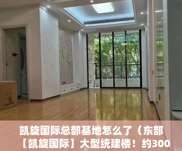 凯旋国际总部基地怎么了（东部【凯旋国际】大型统建楼！约300米轻轨口，1站到深圳 ）深圳小产权房的年限是多久，