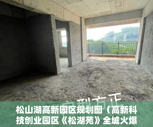松山湖高新园区规划图（高新科技创业园区《松湖苑》全城火爆热销！ ）买了小产权房对方付了钱怎么办，