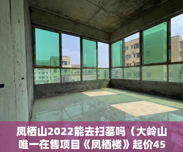 凤栖山2022能去扫墓吗（大岭山唯一在售项目《凤栖楼》起价4580 ）买了小产权二手房多久可以买，