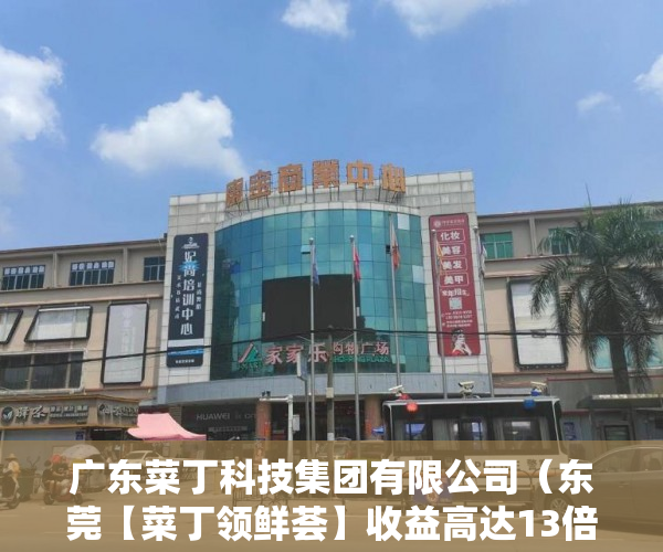广东菜丁科技集团有限公司（东莞【菜丁领鲜荟】收益高达13倍本金隆重开盘 ）小产权是多久，