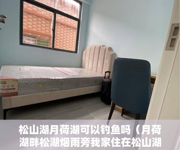 松山湖月荷湖可以钓鱼吗（月荷湖畔松湖烟雨旁我家住在松山湖 110的价格入 ）小产权房主可以住多久，