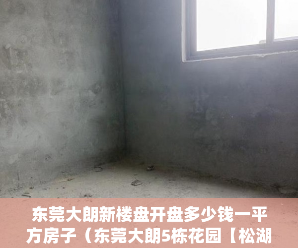 东莞大朗新楼盘开盘多少钱一平方房子（东莞大朗5栋花园【松湖荣耀花园】5380一平起 ）小产权住宅信息统计表怎么填，