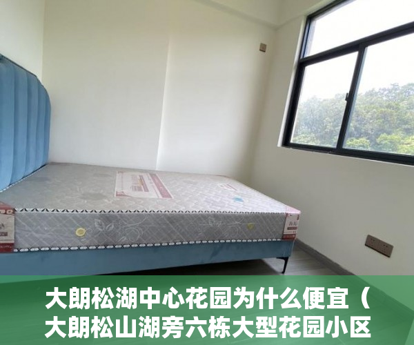 大朗松湖中心花园为什么便宜（大朗松山湖旁六栋大型花园小区《松湖里的家》4780起分期 ）小产权房子顶楼漏水怎么办，
