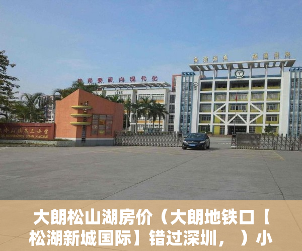大朗松山湖房价（大朗地铁口【松湖新城国际】错过深圳， ）小产权房户型怎么样，
