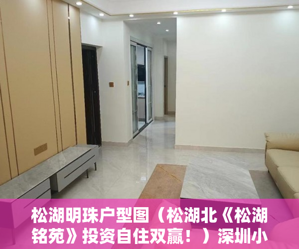松湖明珠户型图（松湖北《松湖铭苑》投资自住双赢！）深圳小产权可以贷款多久，