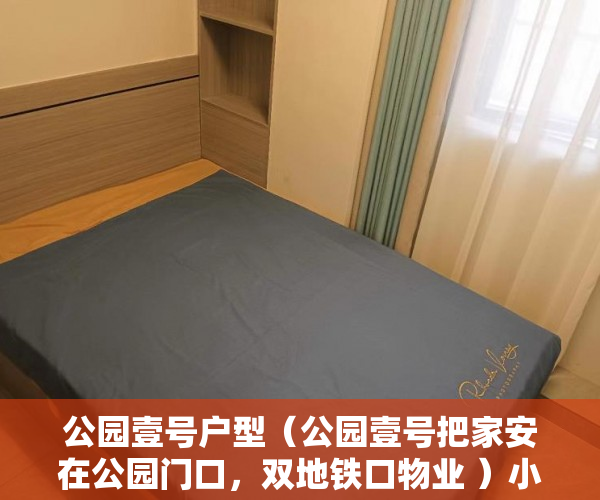 公园壹号户型（公园壹号把家安在公园门口，双地铁口物业 ）小产权该怎么处理，