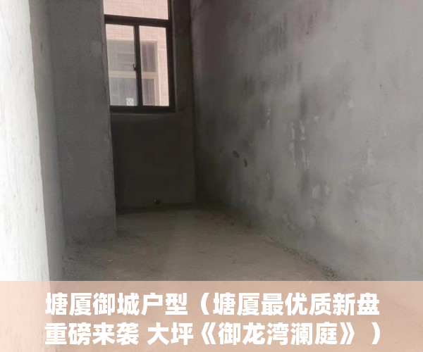 塘厦御城户型（塘厦最优质新盘重磅来袭 大坪《御龙湾澜庭》 ）深圳小产权房产权多久，