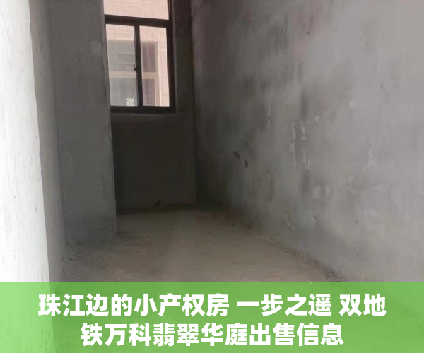 珠江边的小产权房 一步之遥 双地铁万科翡翠华庭出售信息