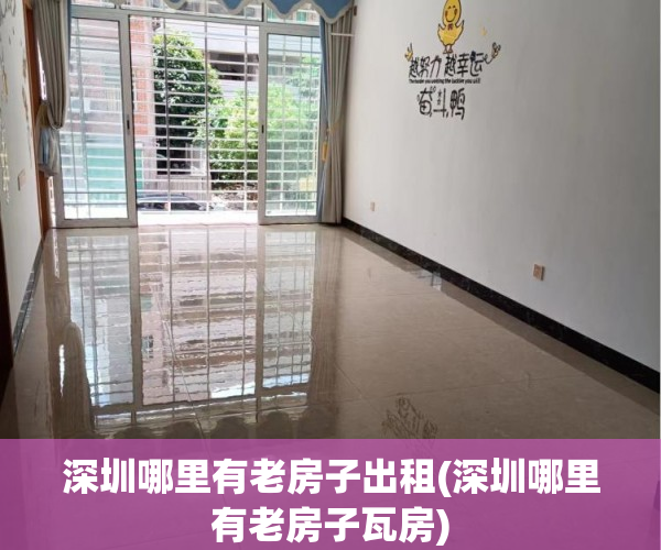 深圳哪里有老房子出租(深圳哪里有老房子瓦房)