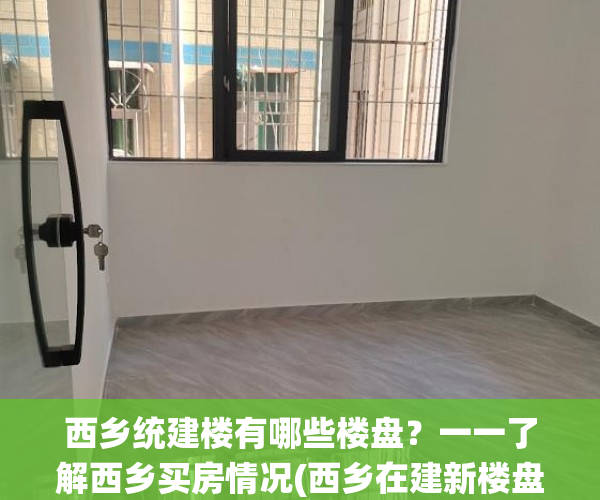 西乡统建楼有哪些楼盘？一一了解西乡买房情况(西乡在建新楼盘)
