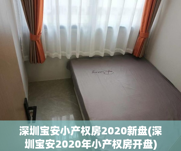 深圳宝安小产权房2020新盘(深圳宝安2020年小产权房开盘)