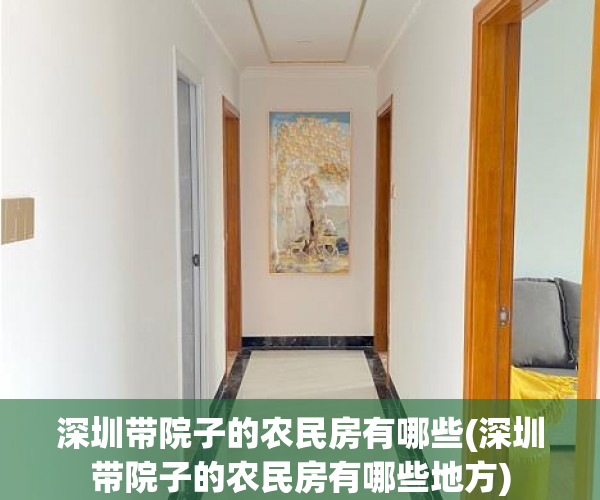 深圳带院子的农民房有哪些(深圳带院子的农民房有哪些地方)