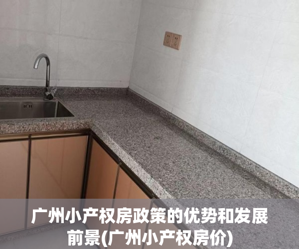 广州小产权房政策的优势和发展前景(广州小产权房价)