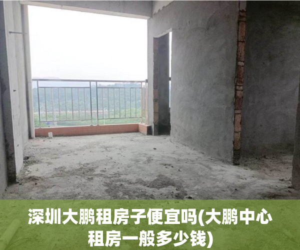 深圳大鹏租房子便宜吗(大鹏中心租房一般多少钱)