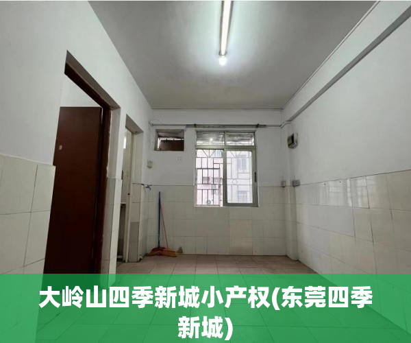 大岭山四季新城小产权(东莞四季新城)