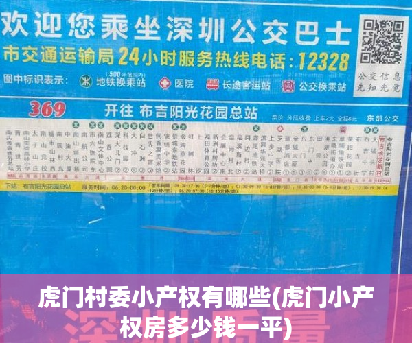 虎门村委小产权有哪些(虎门小产权房多少钱一平) 虎门村委小产权有哪些(虎门小产权房多少钱一平)