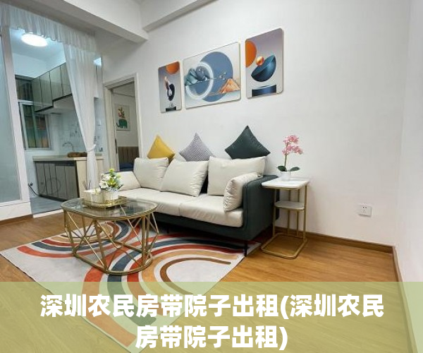 深圳农民房带院子出租(深圳农民房带院子出租)