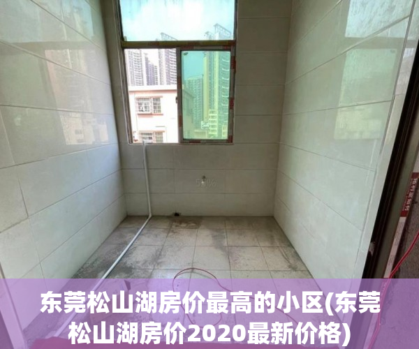 东莞松山湖房价最高的小区(东莞松山湖房价2020最新价格) 东莞松山湖房价最高的小区(东莞松山湖房价2020最新价格)