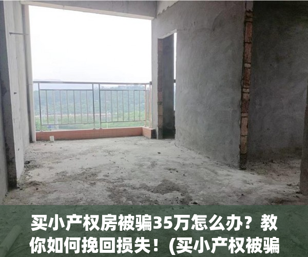 买小产权房被骗35万怎么办？教你如何挽回损失！(买小产权被骗能立案吗)