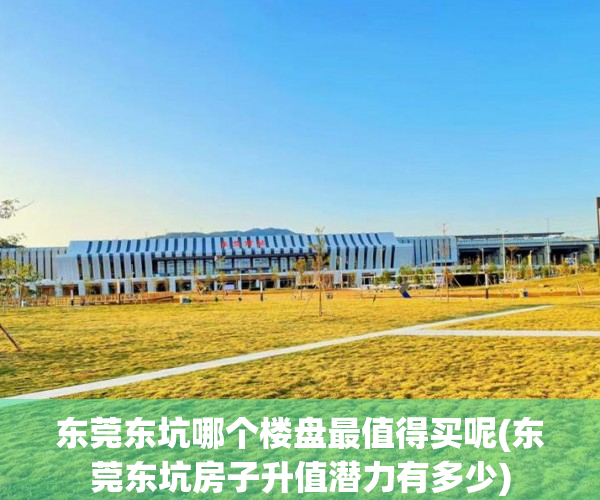 东莞东坑哪个楼盘最值得买呢(东莞东坑房子升值潜力有多少) 东莞东坑哪个楼盘最值得买呢(东莞东坑房子升值潜力有多少)