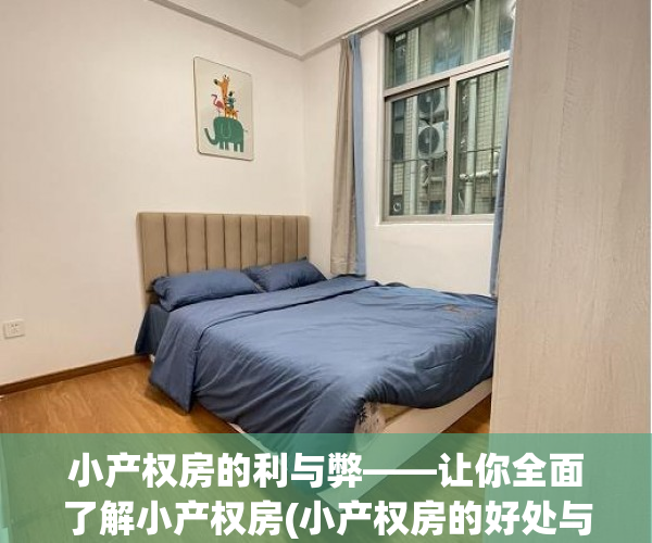 小产权房的利与弊——让你全面了解小产权房(小产权房的好处与坏处)