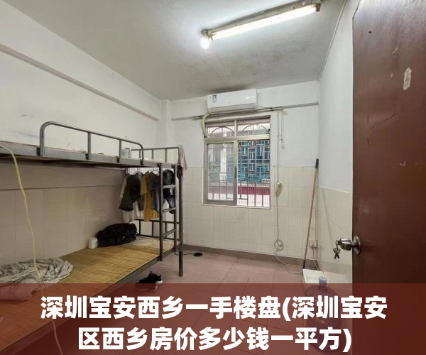 深圳宝安西乡一手楼盘(深圳宝安区西乡房价多少钱一平方)