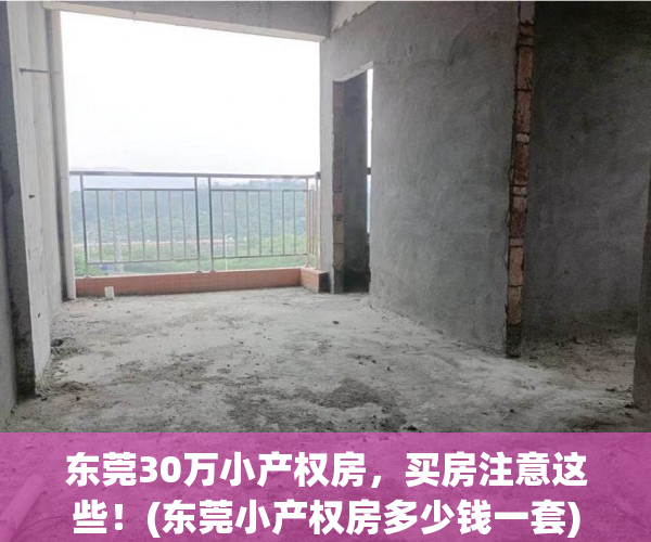 东莞30万小产权房，买房注意这些！(东莞小产权房多少钱一套)