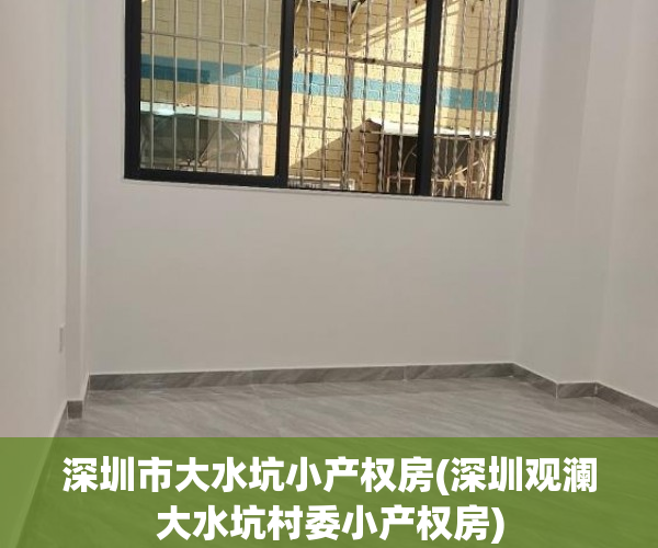深圳市大水坑小产权房(深圳观澜大水坑村委小产权房)