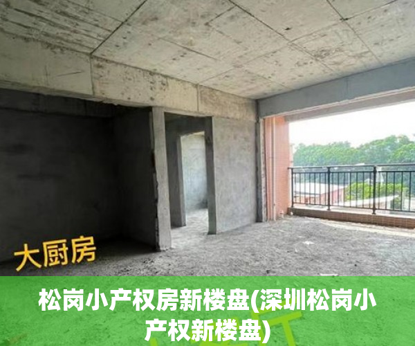 松岗小产权房新楼盘(深圳松岗小产权新楼盘)