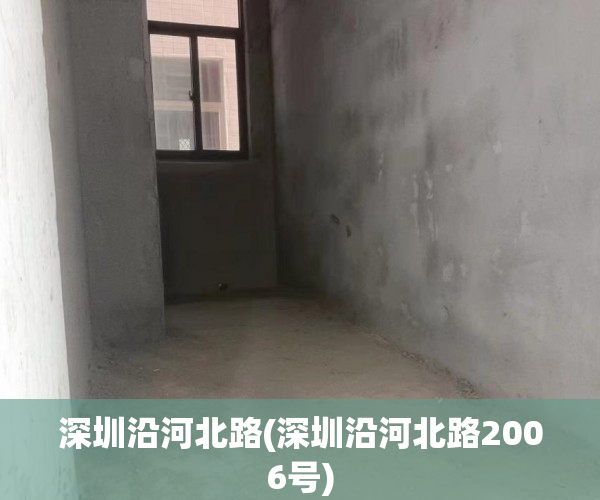 深圳沿河北路(深圳沿河北路2006号) 深圳沿河北路(深圳沿河北路2006号)