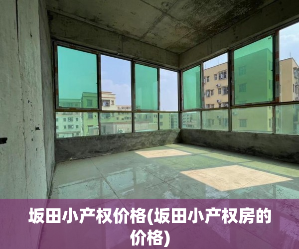 坂田小产权价格(坂田小产权房的价格) 坂田小产权价格(坂田小产权房的价格)