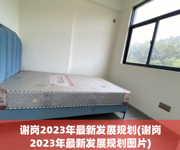谢岗2023年最新发展规划(谢岗2023年最新发展规划图片) 谢岗2023年最新发展规划(谢岗2023年最新发展规划图片)