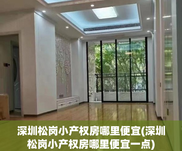 深圳松岗小产权房哪里便宜(深圳松岗小产权房哪里便宜一点)