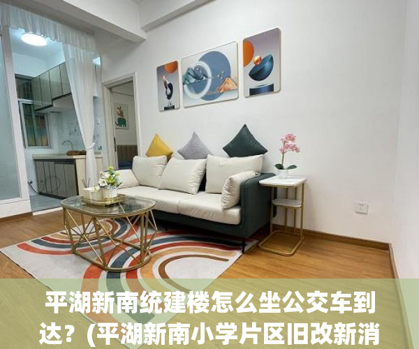 平湖新南统建楼怎么坐公交车到达？(平湖新南小学片区旧改新消息)