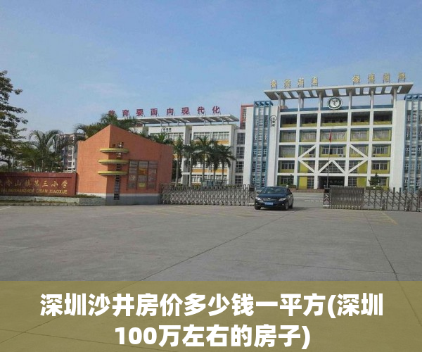 深圳沙井房价多少钱一平方(深圳100万左右的房子)