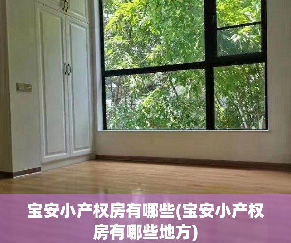 宝安小产权房有哪些(宝安小产权房有哪些地方)