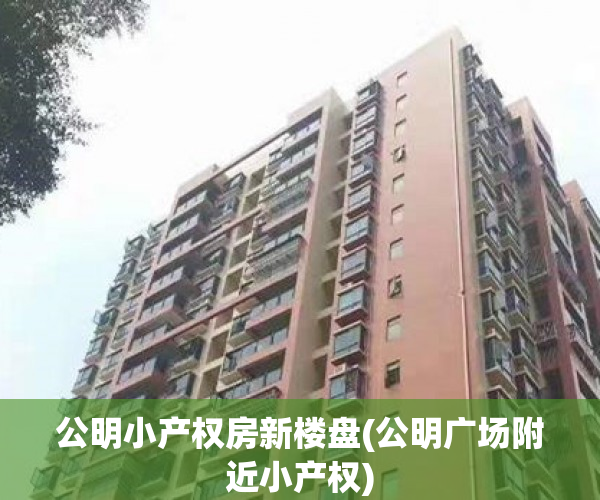 公明小产权房新楼盘(公明广场附近小产权) 公明小产权房新楼盘(公明广场附近小产权)