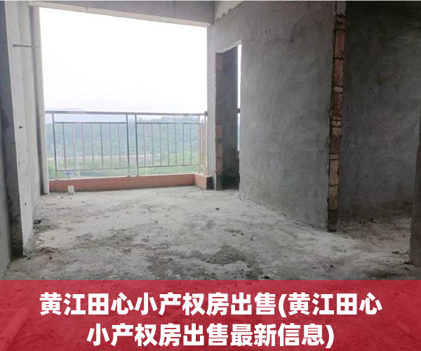 黄江田心小产权房出售(黄江田心小产权房出售最新信息) 黄江田心小产权房出售(黄江田心小产权房出售最新信息)