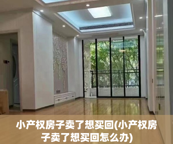 小产权房子卖了想买回(小产权房子卖了想买回怎么办) 小产权房子卖了想买回(小产权房子卖了想买回怎么办)
