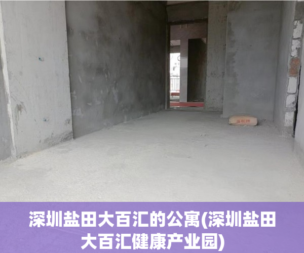 深圳盐田大百汇的公寓(深圳盐田大百汇健康产业园)