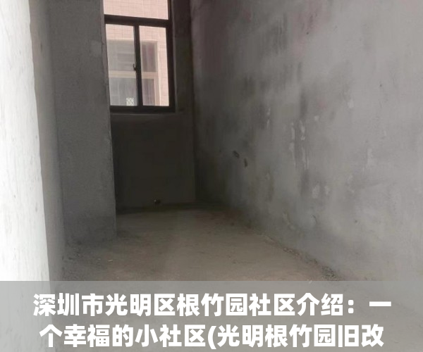 深圳市光明区根竹园社区介绍：一个幸福的小社区(光明根竹园旧改)