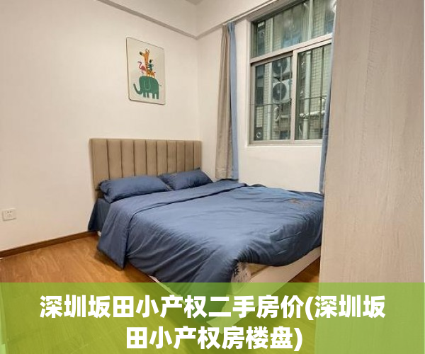 深圳坂田小产权二手房价(深圳坂田小产权房楼盘) 深圳坂田小产权二手房价(深圳坂田小产权房楼盘)