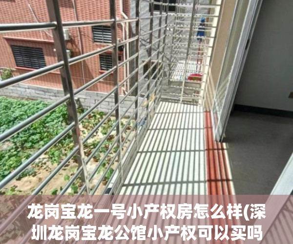 龙岗宝龙一号小产权房怎么样(深圳龙岗宝龙公馆小产权可以买吗?) 龙岗宝龙一号小产权房怎么样(深圳龙岗宝龙公馆小产权可以买吗?)